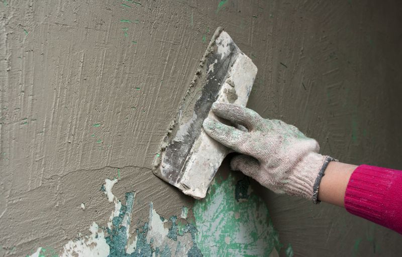 Plaster Repair