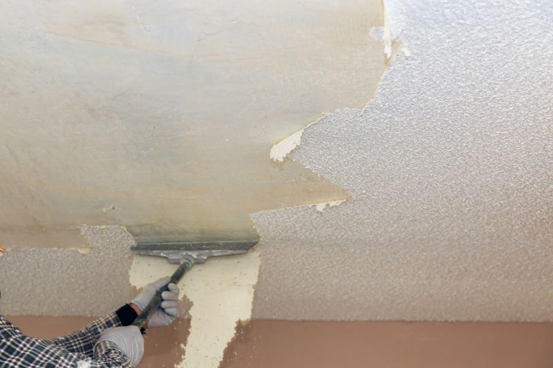 Stipple Ceiling Removal in Denver County, CO
